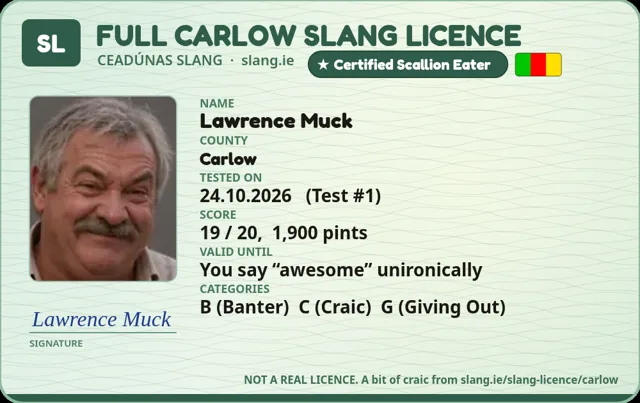 A sample Carlow Slang Licence card made out to Lawrence Muck