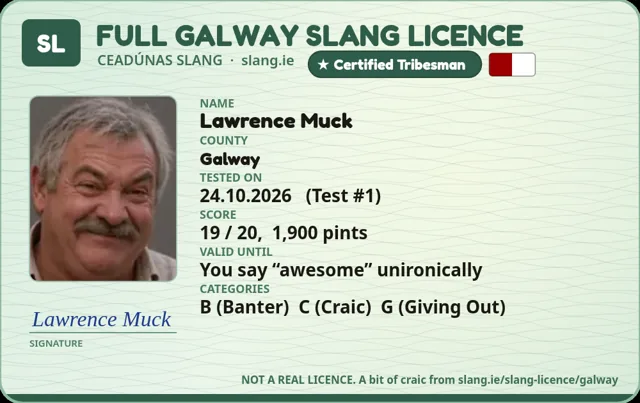 A sample Galway Slang Licence card made out to Lawrence Muck