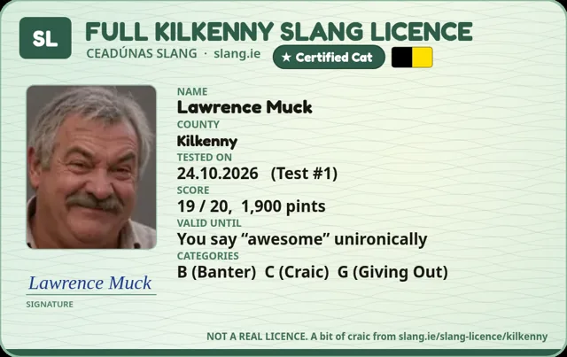 A sample Kilkenny Slang Licence card made out to Lawrence Muck