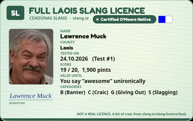 A sample Laois Slang Licence card made out to Lawrence Muck